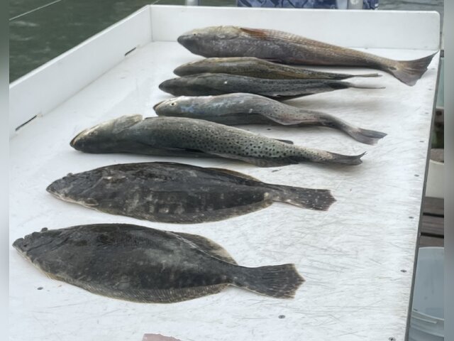 Listing image 1084166