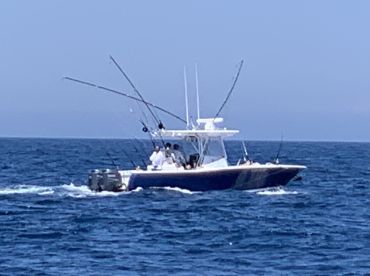 eFISHnsea Sportfishing