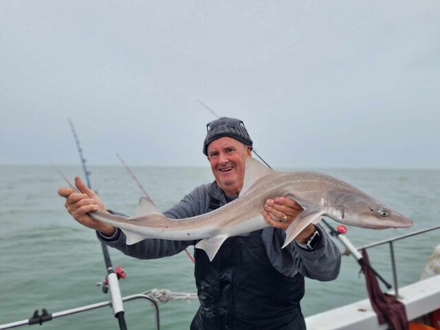 Listing image 1085054