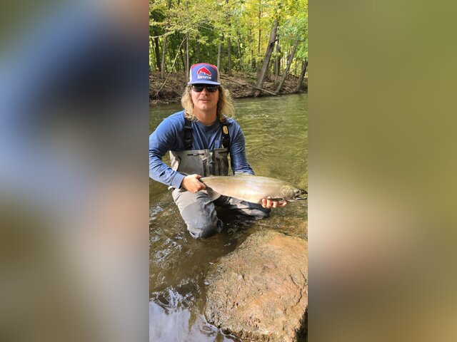 Listing image 1098006