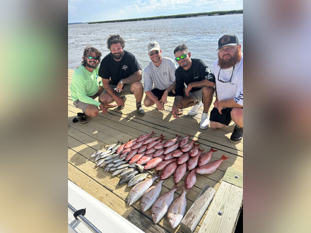 Listing image 1211825