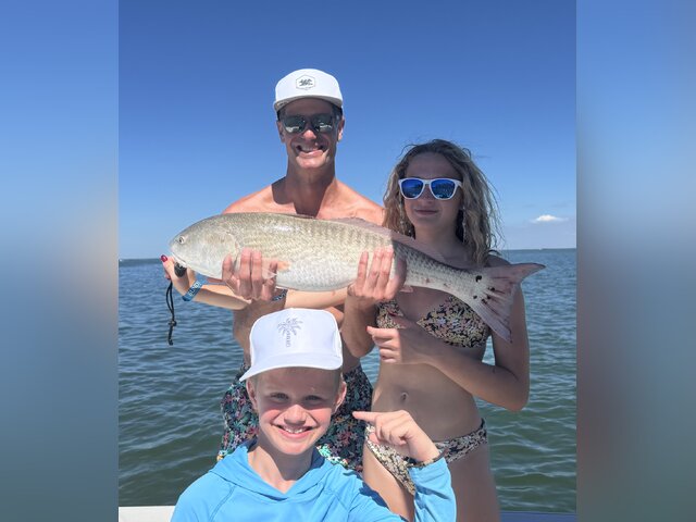 Listing image 1256364