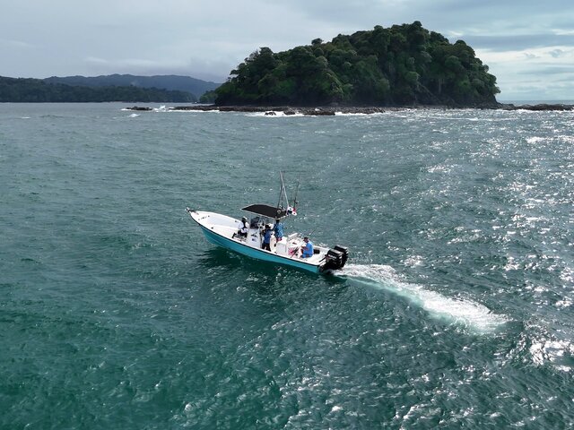 Listing image 1087027