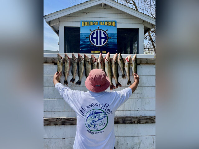 Listing image 1089824