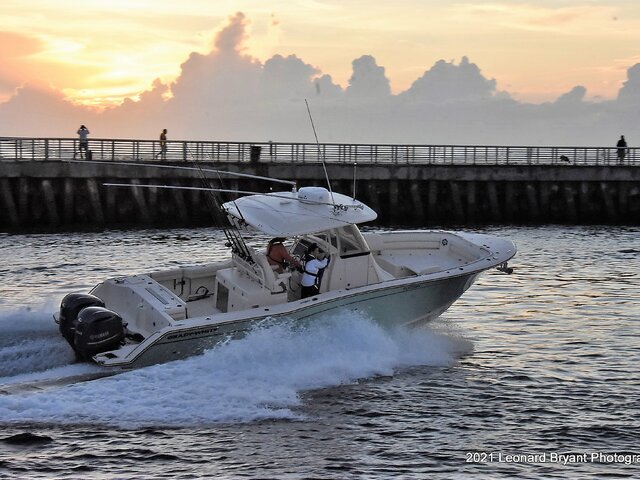 Listing image 1088411