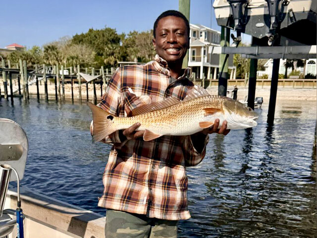 Listing image 1233378