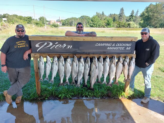 Listing image 1239276