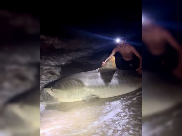 Drop Zone Panama City Shark Charter thumbnail