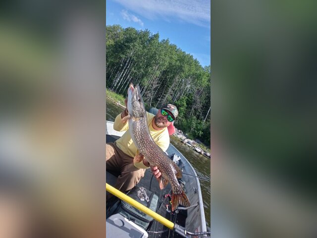 Listing image 1090122