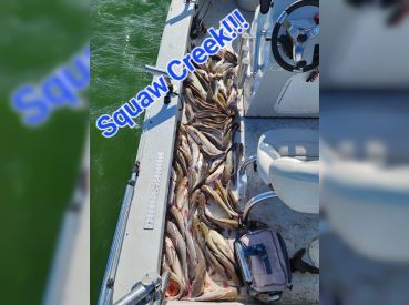 Line Sided Guide Service