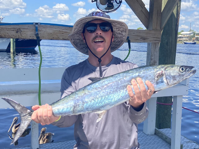 Listing image 1093577