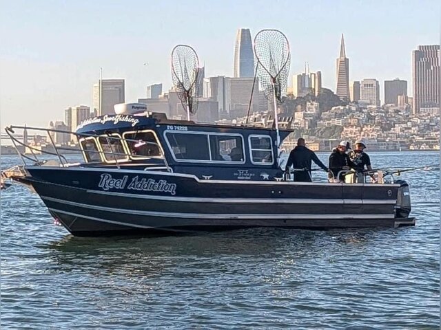 Listing image 1091704