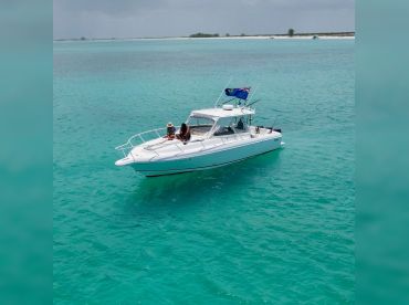 Serendipity – Bottom fishing