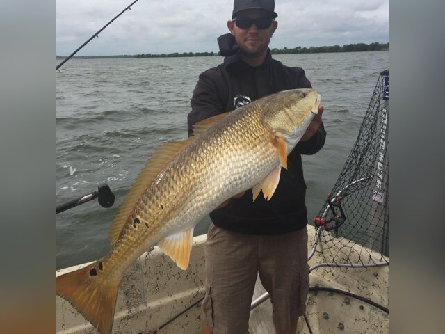 Listing image 1092447