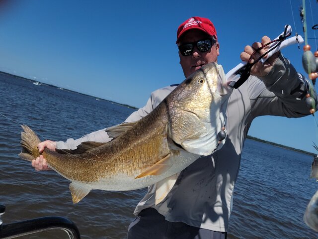 Listing image 1093184