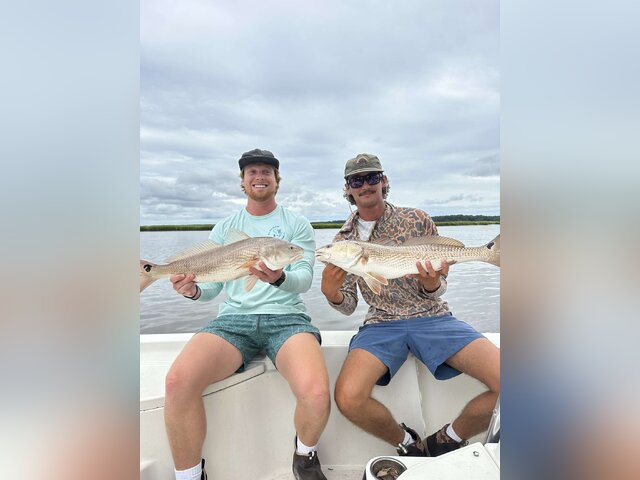 Listing image 1095579