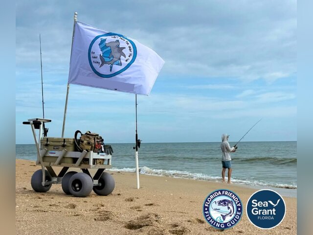 Listing image 1132092