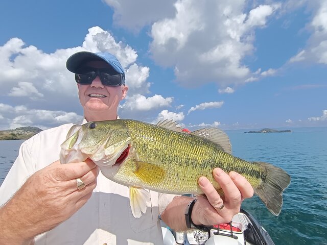 Listing image 1096954