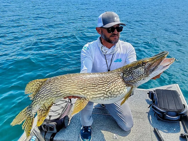 Listing image 1096970