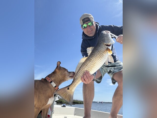 Listing image 1097141