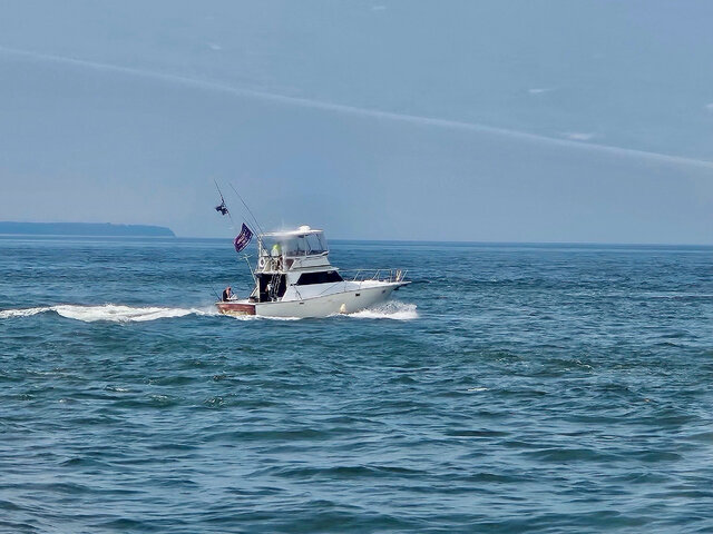 Listing image 1104197