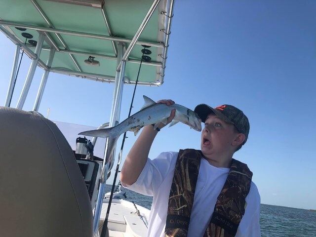 Listing image 1097903