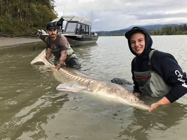 Listing image 1097955