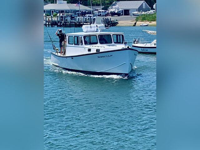 Listing image 1101384