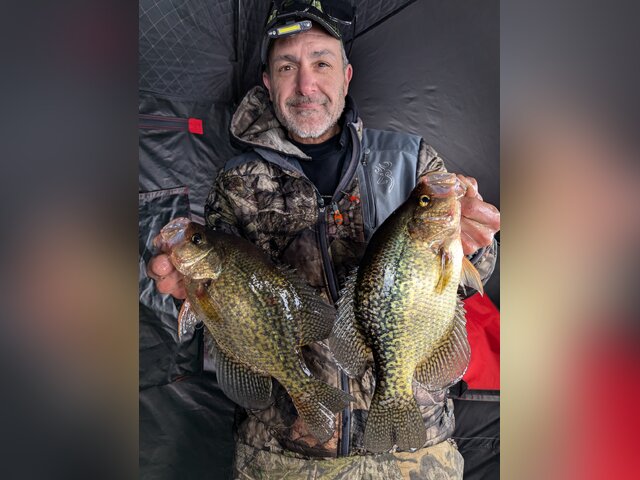 Listing image 1134017