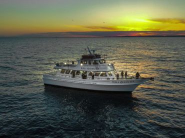 Sea Queen VII Fishing thumbnail