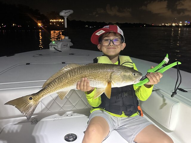 Listing image 1101934