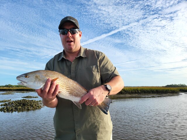 Listing image 1108891