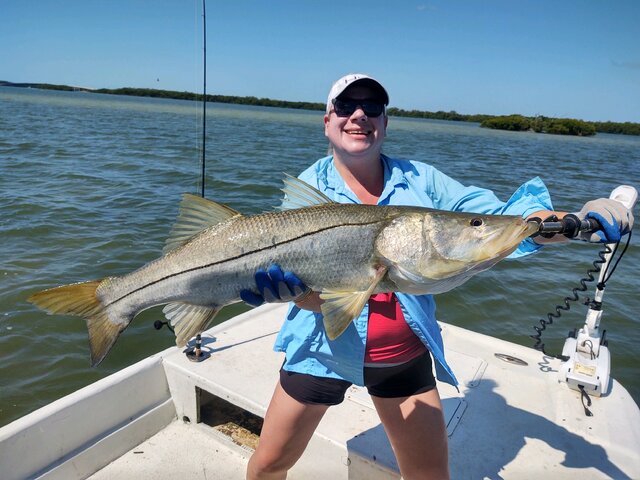 Listing image 1103735