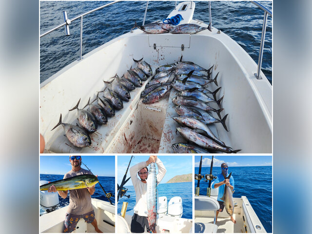 Listing image 1137842