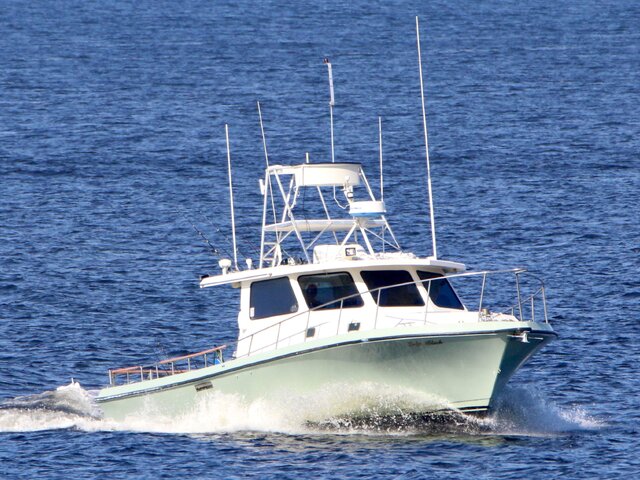 Listing image 679240