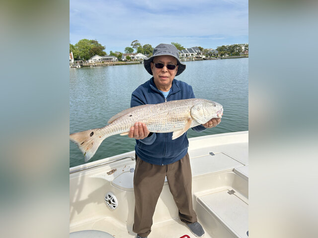 Listing image 1250005