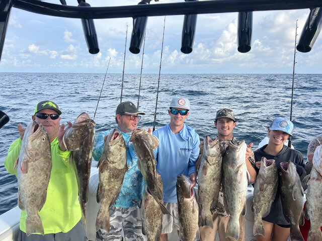 Listing image 1106884