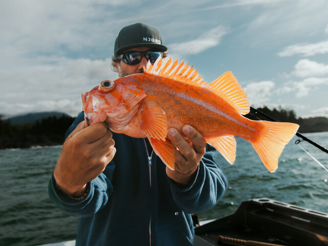 Listing image 1275240