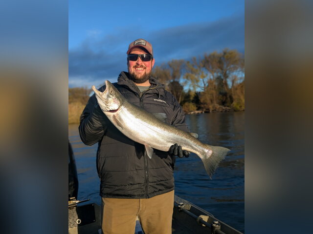 Listing image 1266512