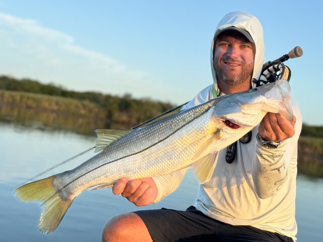 Listing image 1108084