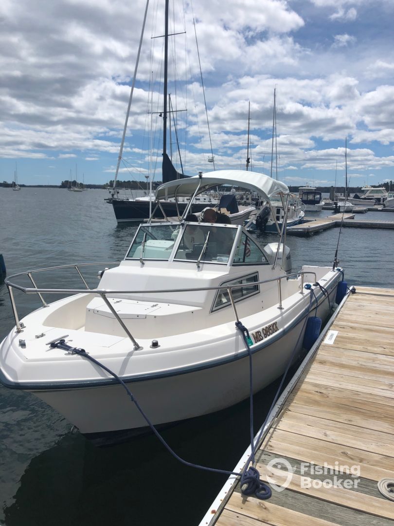 Boat image