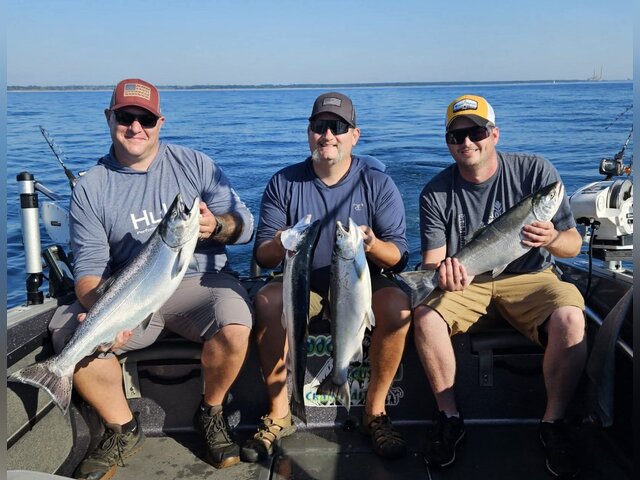 Listing image 1281167