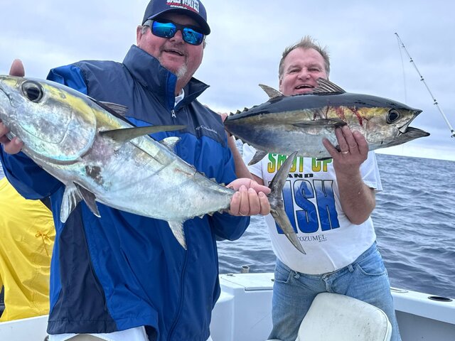 Listing image 1251710