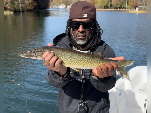 Listing image 1306234