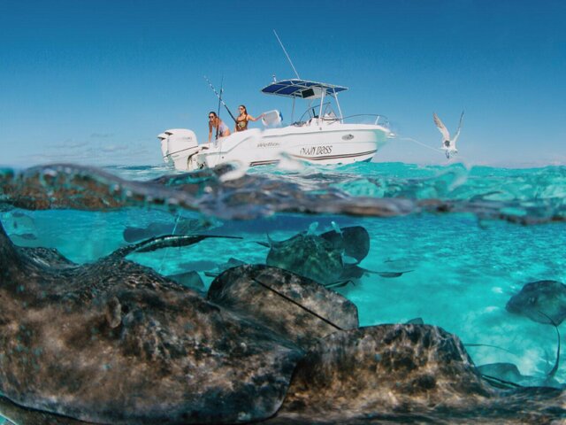 Listing image 1120270