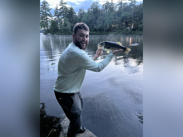 Listing image 1115686