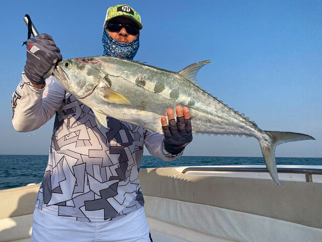 Listing image 1116225