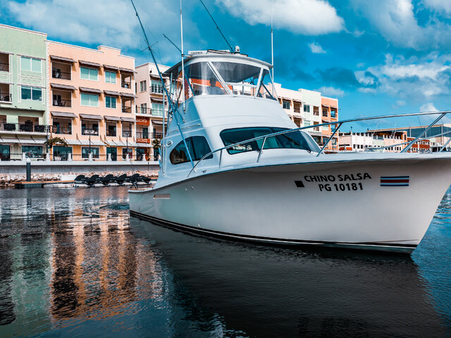 Listing image 1165299