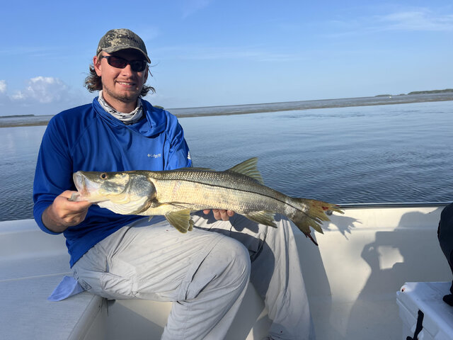 Listing image 1126950