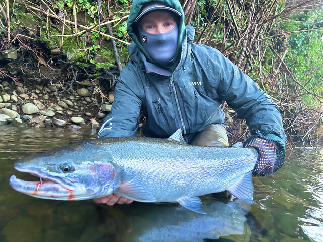 Listing image 1117264